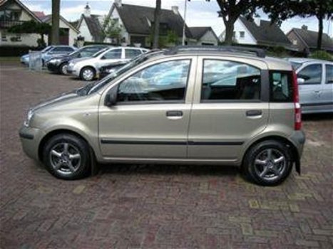 Fiat Panda - 1.2 Edizione Cool - 1