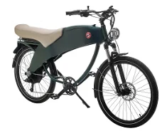 Trotseer de Hollandse wind met de Stroler/Falkon van Lohner 2-zits e-bike