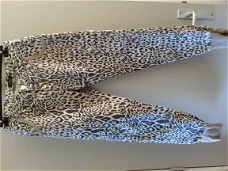 Luipaardprint broek maat M