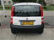 Fiat Panda - 1.1 Active , Dakrails, stuurbekrachting, zeer nette auto - 1 - Thumbnail