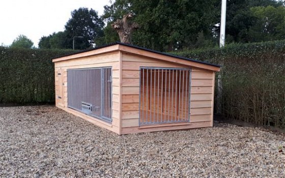 Zeer grote Douglas hondenkennel met zijpaneel type: Max xl - 2