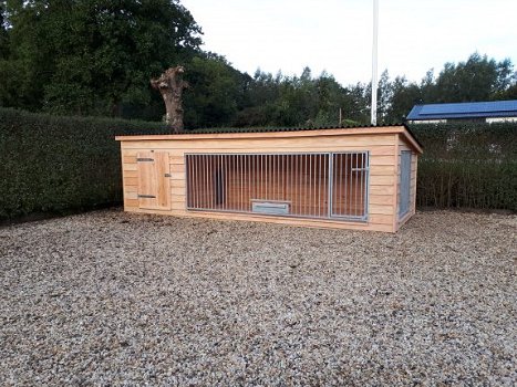 Zeer grote Douglas hondenkennel met zijpaneel type: Max xl - 3