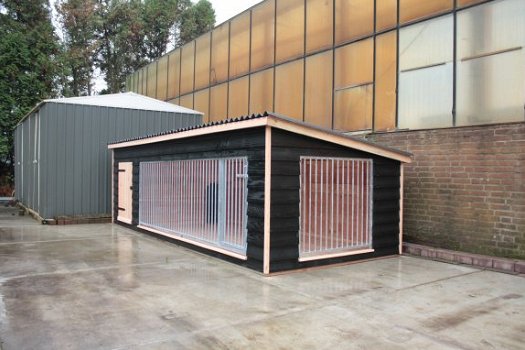 Zeer grote Douglas hondenkennel met zijpaneel type: Max xl - 3