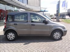 Fiat Panda - 1.2 Classic