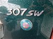 Peugeot 307 SW - 2.0 HDiF Roland G - 1 - Thumbnail