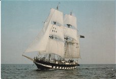 Amsterdam Sail 80 Royalist