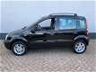 Fiat Panda - 1.2 Edizione Cool - Airco - LMV - 1 - Thumbnail