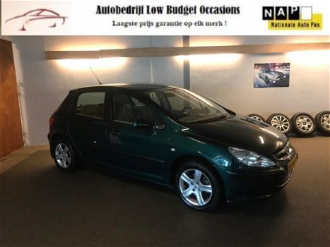 Peugeot 307 - 1.6-16V XT Apk Nw, 2e eigenaar, Clima, E-Ramen, Lm velgen, N.A.P, Trekhaak, Topstaat - 1