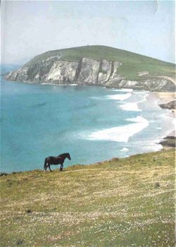 Artis boek - Ierland - 5