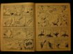 Origineel oud stripboek Jef Nijs 8: De Ooievaar van Begonia - 6 - Thumbnail