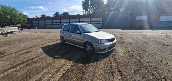 Volkswagen Polo - 1.4-16V Comfortline | Kanon | verlaagd| - 1