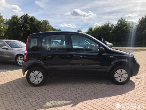 Fiat Panda - 1