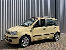 Fiat Panda - 1.2 Emotion | Climate | Lmv | Dakrails