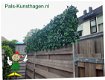 Künstliche Hecke als Gartenschutz - kunsthecke Sichtschutz - 6 - Thumbnail