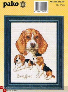 PAKO BORDUURPAKKET BEAGLE MET 2 PUPPIES - 1