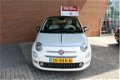 Fiat 500 - TwinAir Turbo 80 Collezione - 1 - Thumbnail