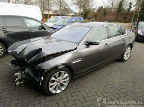 Jaguar XF Portfolio - XF 3.0D 221KW AUTOMAAT LEER CLIMA NAVIGATIE PANORAMADAK - 1