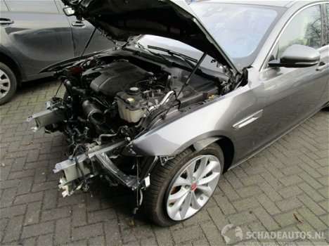 Jaguar XF Portfolio - XF 3.0D 221KW AUTOMAAT LEER CLIMA NAVIGATIE PANORAMADAK - 1