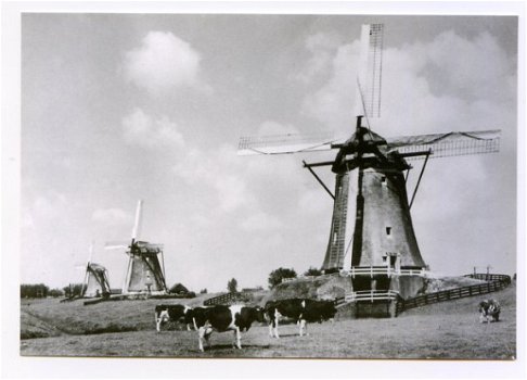 K162 Leidschendam - Molendriegang - Repro - 1