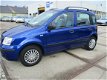 Fiat Panda - 1.2 Dynamic - 1 - Thumbnail