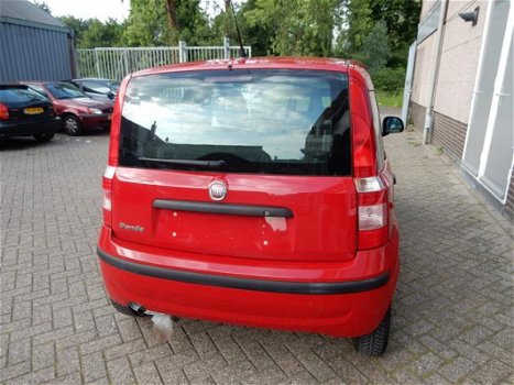 Fiat Panda - 1.2 Classic Plus - 1