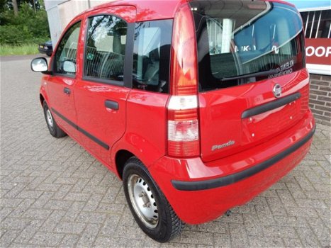 Fiat Panda - 1.2 Classic Plus - 1