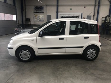 Fiat Panda - 1.2 Active / AIRCO / 63850 KM / TOPSTAAT - 1