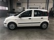 Fiat Panda - 1.2 Active / AIRCO / 63850 KM / TOPSTAAT - 1 - Thumbnail