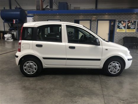 Fiat Panda - 1.2 Active / AIRCO / 63850 KM / TOPSTAAT - 1