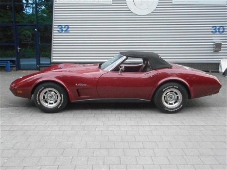 Corvette C3 - Chevrolet USA Stingray Convertible - 1