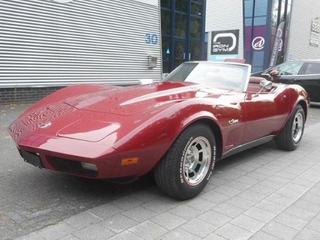 Corvette C3 - Chevrolet USA Stingray Convertible - 1