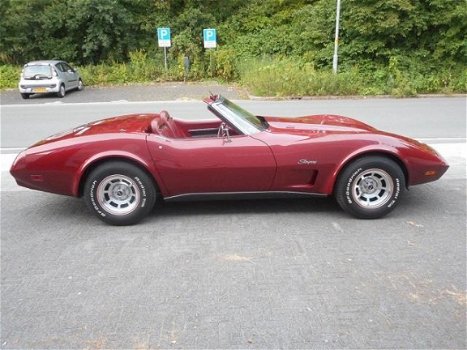 Corvette C3 - Chevrolet USA Stingray Convertible - 1