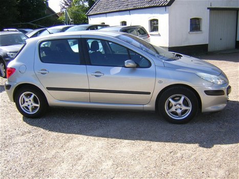 Peugeot 307 - 1.6/16V 5DR Clima/Cruise Control NW APK - 1