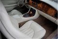 Jaguar XK8 - 4.0 V8 Coupé Aut. - Leder * Youngtimer - 1 - Thumbnail