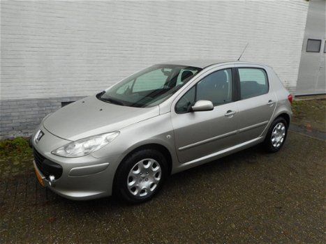 Peugeot 307 - 1.6-16V XS 5-drs. AIR-CRC-AUDIO - 1