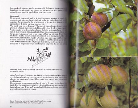 Het appel- en perenboek - 4