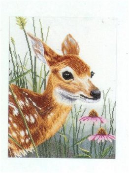 SALE LANARTE BORDUURPAKKET FAWN & FLOWERS , HERT 35139A - 1