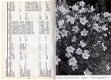 M.C.H. Ruys: Vaste planten in de tuin - 1 - Thumbnail