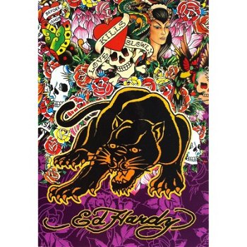 Ed Hardy - Panther kaarten bij Stichting Superwens! - 1