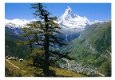 L158 Zermatt Tufternalp mit Matterhotn / Wallis / Zwitserland - 1 - Thumbnail