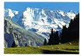 L160 Ebnefluh met koeien / Zwitserland - 1 - Thumbnail
