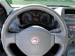 Fiat Panda - 1.2 Edizione Cool (APK 5-2020) - 1 - Thumbnail