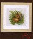 SALE MARJOLEIN BASTIN BORDUURPAKKET ,HARE IN FLOWER FIELD 156298 - 1 - Thumbnail