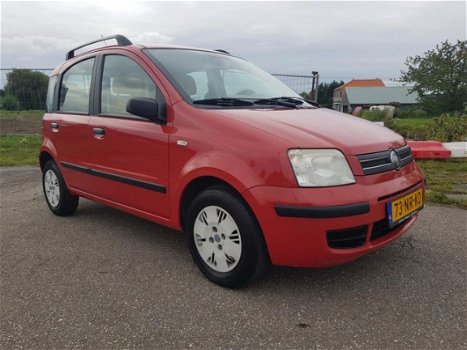 Fiat Panda - 1.2 Dynamic - 1