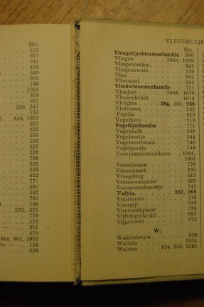 Geillustreerde flora van Nederland - Afbeelding 4
