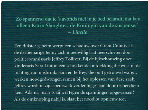 Karin Slaughter - Zoenoffer - Afbeelding 2