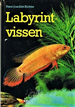 Labyrintvissen - 1
