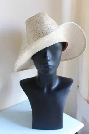 Stetson hoed - nr. 1