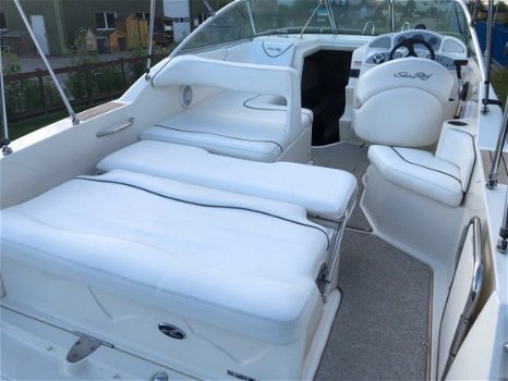 Sea Ray 255 Sundancer - 3