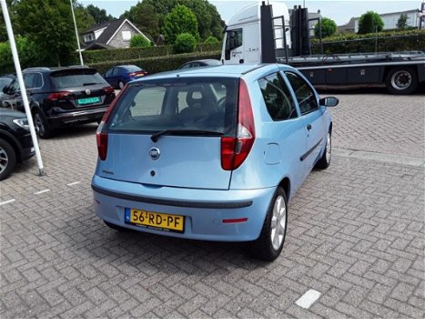 Fiat Punto - 1.2 YOUNG - 1